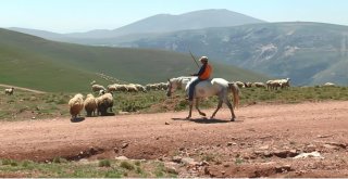 Çobanın Umudu Kurban Bayramı