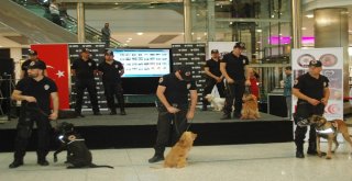 Dedektör Köpekler Halkla Buluştu