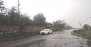 Yağmur Ve Dolu, Meyve Ağaçları İle Sebze Fidelerine Zarar Verdi