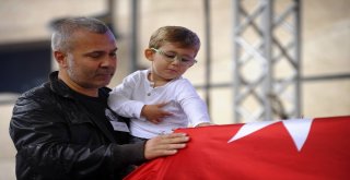 Fotoğraf Sanatçısı Ara Güler İçin Galatasaray Meydanında Tören