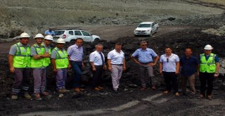 Kömür Üretimi Sona Eren Araziler Meraya Dönüşüyor