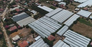 Selle Sarsılan Çiftçi Yaralarını Sarmaya Çalışıyor