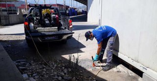 KUMLUCA VE BEYKENT TOPTANCI HALİ HAŞERELERE KARŞI İLAÇLANDI