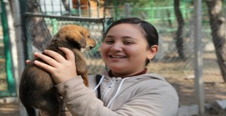 Çorumda Dünya Hayvanları Koruma Günü Etkinlikleri