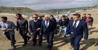 Karacalar Doğal Ortamına Bırakıldı