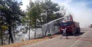 Antalyada Orman Yangını (1)