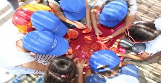 Ata Tohumları Aydın Büyükşehir İle Hayat Buluyor