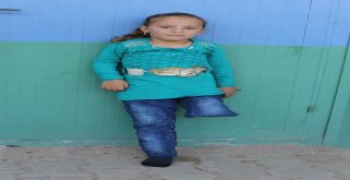 Suriyede Savaşta Annelerini Kaybeden Çocukların Saçlarına İlk Kez Örgü Yapıldı