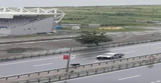 Kurbanlık Boğa Trabzonda Kazaya Neden Oldu: 5 Yaralı