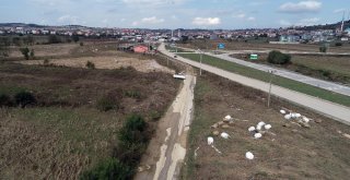 Kaynarcadaki Sel Felaketinin Boyutu Ortaya Çıktı