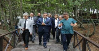 Samsundaki Kedi Kasabasında Çocuklara Hayvan Sevgisi Aşılandı