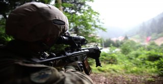 Jöperler İlk Defa Bu Kadar Yakından Görüntülendi