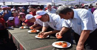 2. Boyabat Domatesi Festivali