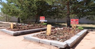 Şehit Bedirhanın Anneannesi: Bedirhanın İntikamını Aldılar Çok Sevindim