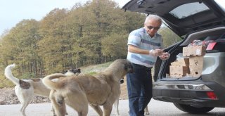 (Özel Haber) Bir Çok Kişi Öldürmeye, O Yaşatmaya Çalışıyor