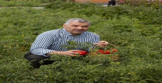 Başkan Çelikten Doğal Çağrı