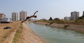 Tehlikeyi Bile Bile Atlıyorlar