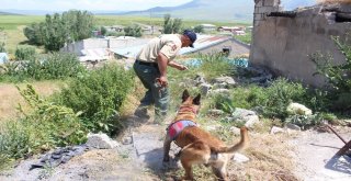 Leylanın Bulunması İçin Metruk Evlerde Kazı Yapıldı