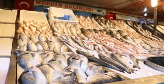 Tezgahlar Balıkla Doldu Taştı, Fiyatlar Yarı Yarıya Düştü