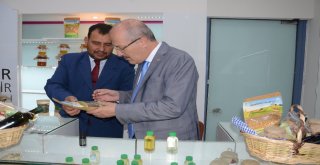 (Özel) Büyükşehirden Organik Hizmet