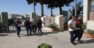 Cuma Namazına Giden Çiftçinin Hayvanlarını Çaldılar