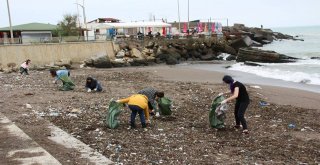 Üniversite Öğrencileri Sahili Temizledi