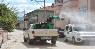 Haşerelere Karşı Biodrone İle İlaçlama