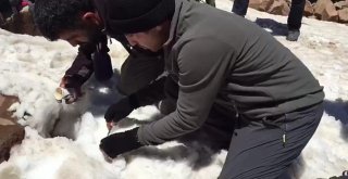 Dağcıların 5 Bin 58 Rakımlı Süphan Dağında Karlı Pekmez Keyfi