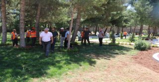Hava Şehitliği Peyzaj Çalışmalarında Sona Gelindi