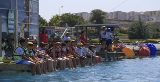 Büyükşehirden İnanılmaz Fırsat