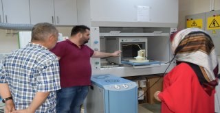 Düzce Üniversitesi Şehirle Bütünleşiyor