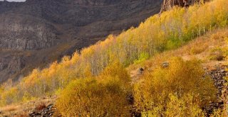 Nemrut Kalderası Sonbahar Manzarasıyla Ziyaretçilerini Hayran Bırakıyor