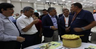 Doğu Anadolunun Birbirinden Lezzetli Peynirleri Bitliste Buluştu
