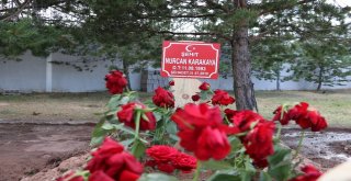 Şehit Annenin Ağabeyi: Kıyamadığımız Kız Kardeşimize Zalimler Kıydı