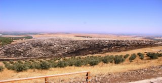 Göbeklitepe Ormanında Korkutan Yangın Kontrol Altına Alındı