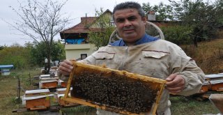 Anzer Balı İle Yarışacak