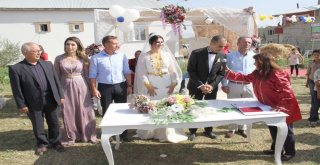 Yüksekovalı Avukat Çifte Renkli Kır Düğünü