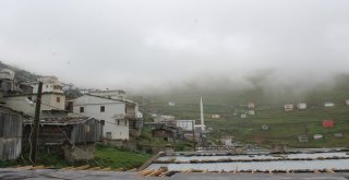 Varda Yaylasında Kaçak Yapılaşmanın Önüne Geçiliyor