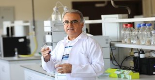 Gaün Gıda Mühendisliği Bölümü Eğitim Programı Müdek Tarafından Akredite Oldu