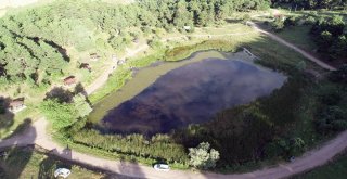 Hastalığına Çare Arayan Bu Göle Gidiyor