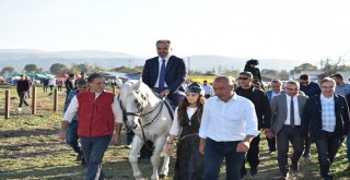 Rahvan Atları, ‘Cumhuriyet Kupası İçin Yarıştı