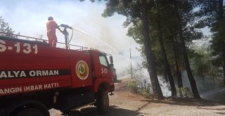 Antalyada Orman Yangını (1)