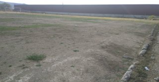 Gölpazarındaki Futbol Sahasının Çimleri Bakımsızlıktan Toprağa Dönüşmüş