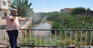 Vatandaşların Lağım Suyu Tepkisi