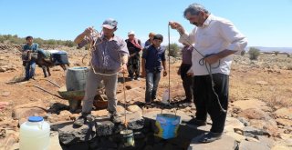 Susuzluktan 40 Bine Yakın Hayvanla Göç Ettiler