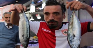 Samsunda Palamudun Ardından “Lüfer” Patladı