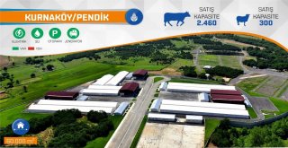 İbb, Kurban Bayramına Hazır