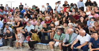 Homeros Ödülü Prof. Dr. Haluk Şahinin Oldu