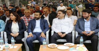 Çamlıderede Festival Coşkusu