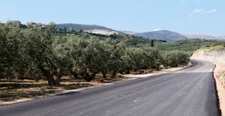 Gemlikte Ulaşıma Neşter